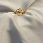 Golden Embrace Ring